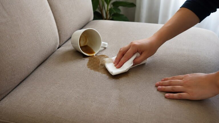 How to Get Coffee Stains Out of Sofa